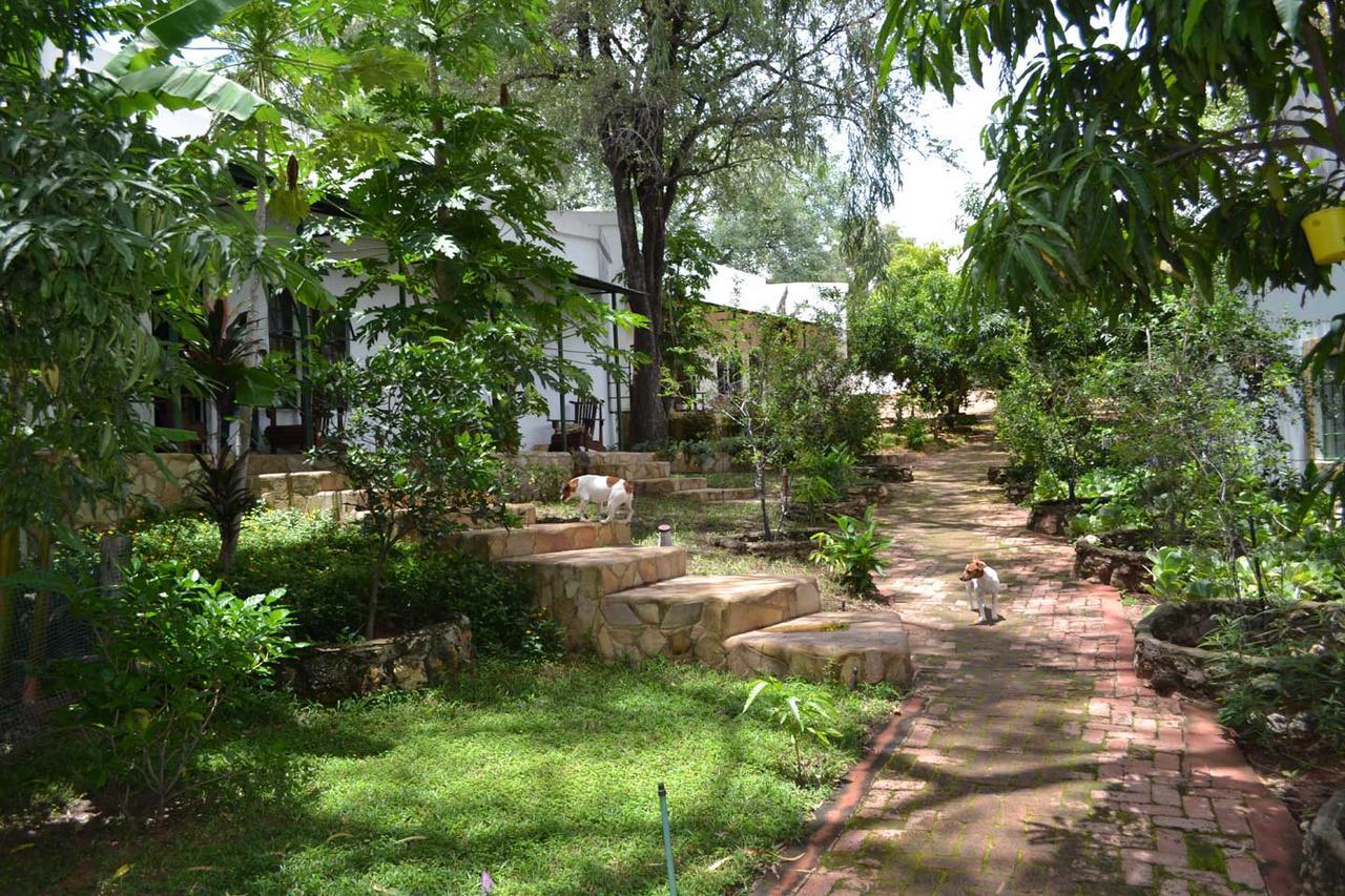 Tambuti Lodge روندو المظهر الخارجي الصورة