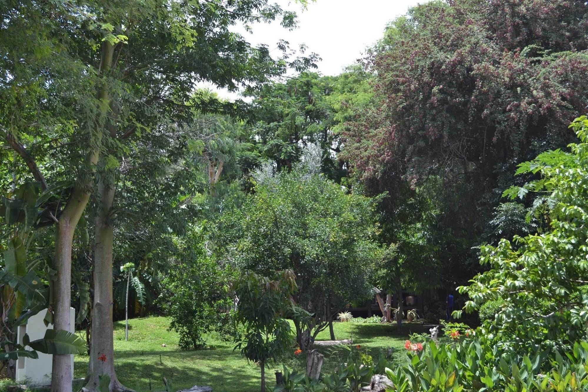 Tambuti Lodge روندو المظهر الخارجي الصورة